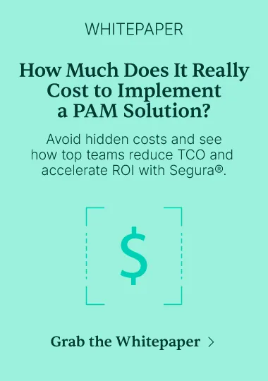 Whitepaper “How Much Does It Really Cost to Implement a PAM Solution?”