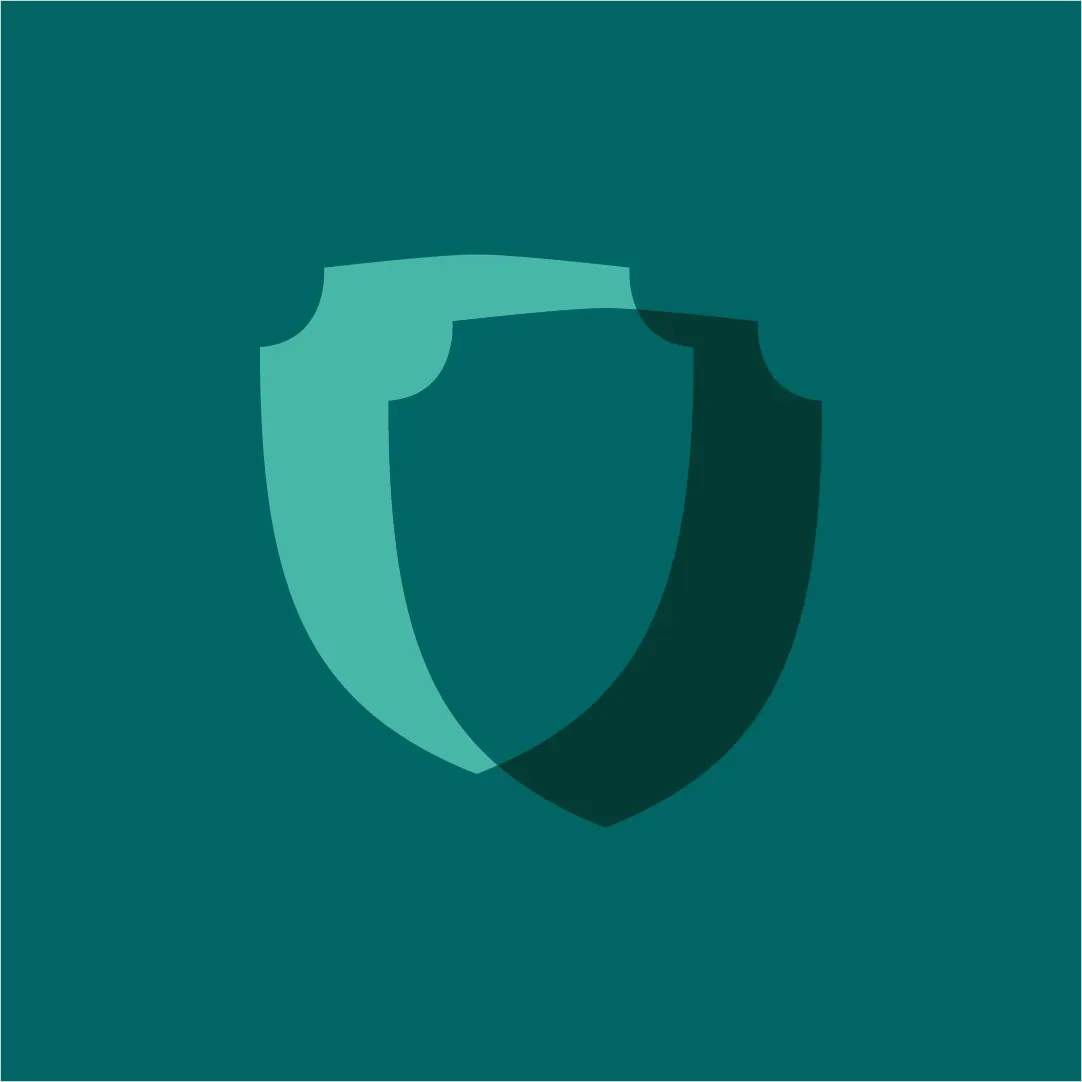 Feature icon
