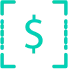 Feature icon