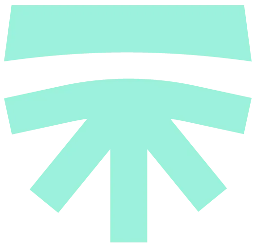 Feature icon