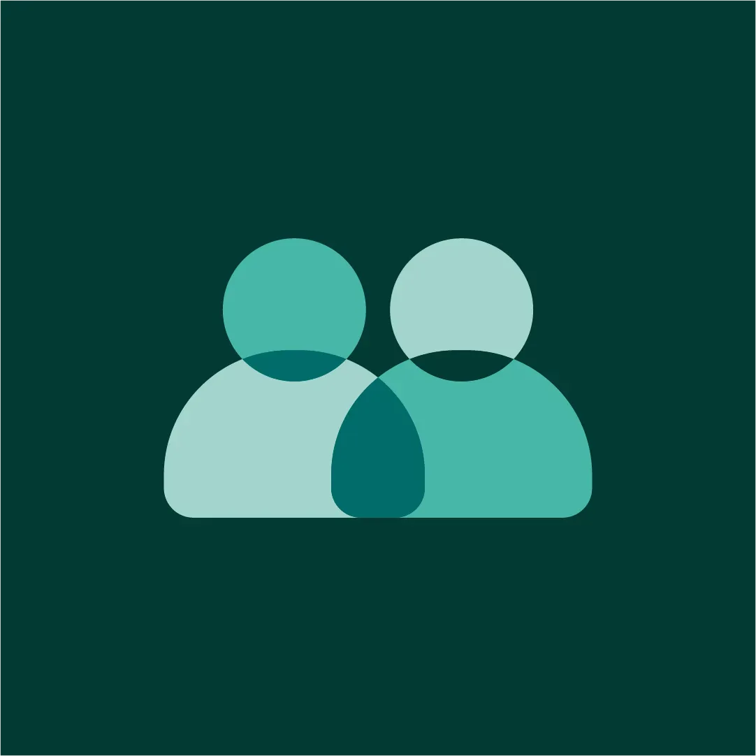Feature icon